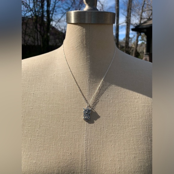 NWT Sterling Silver Plated Chain & Owl Alloy Metal Charm Necklace - Picture 5 of 9